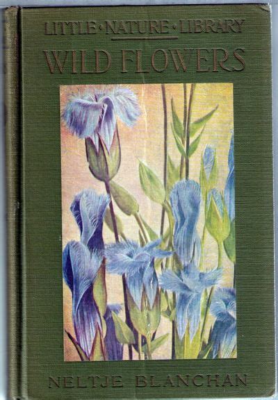 Wild Flowers Worth Knowing The Little Nature Library By Blanchan