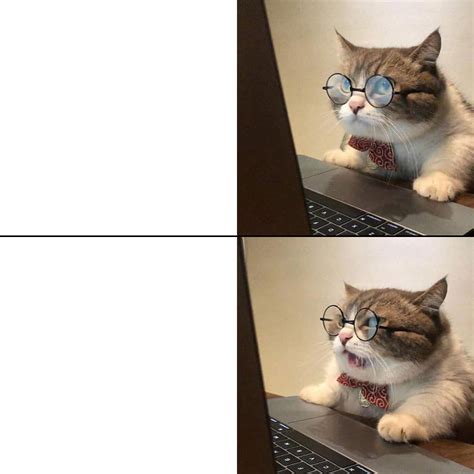 Angry Cat Blank Template Imgflip