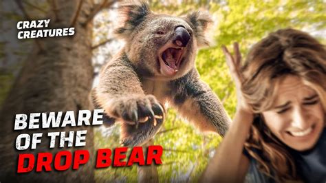 The Drop Bear Australias Deadliest Myth Youtube