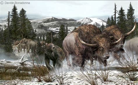 Pleistocene North America Bison Latifrons And Arctodus Simus By