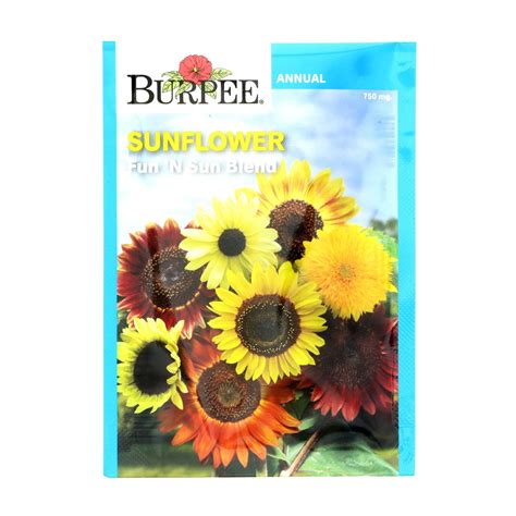 Burpee Sunflower Fun N Sun Blend Flower Seeds Shop Seeds At H E B
