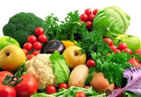Kebaikan Memakan Sayur Sayuran Yang Wajib Anda Ketahui Pengedar