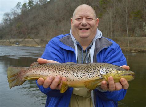 Brown Trout Gallery Smoky Mountain Fly Fishing Guides And Trips