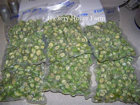 It can be eaten raw, cooked, roasted or baked. Hickery Holler Farm: Blanching Okra And Freezing Breaded Okra