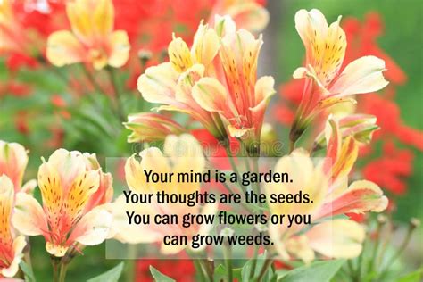 Inspirational Quote Your Mind Is A Garden Your Thoughts Are The