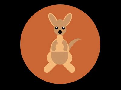 Kangaroos By Judith On Dribbble