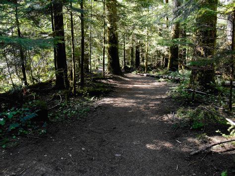 Hiking Trails Abound On Vancouver Island Bc What Are You Waiting For