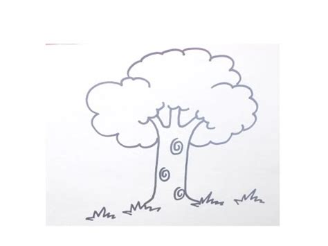 Follow the simple instructions and in no time you've created a great looking tree drawing. Easy Drawing Tutorial:How to draw tree for Beginners ...