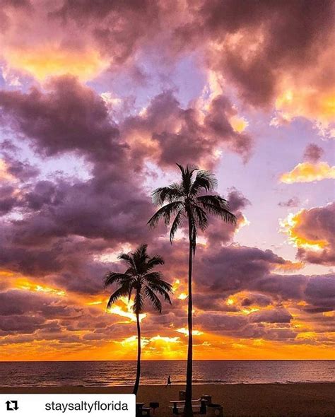 Repost Staysaltyflorida Sunrise From Ft Lauderdale Beach F Lrd A
