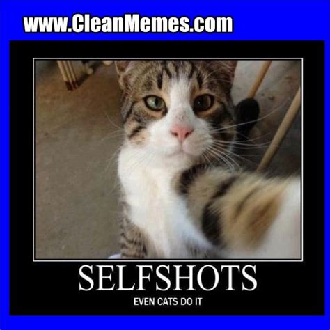 Just look at this funny clean cat memes and you will understand everything. Grab Hold Of the Incredible Funny Zombie Apocalypse Cat Memes - Hilarious Pets Pictures