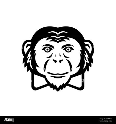 Noble Chimpanzee Chimp Monkey Primate Or Ape Wearing Bow Tie Mascot