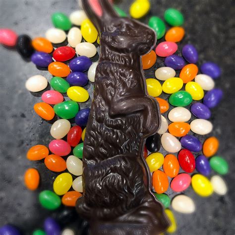 Jelly Bean Filled Chocolate Easter Bunny The Secret Chocolatier