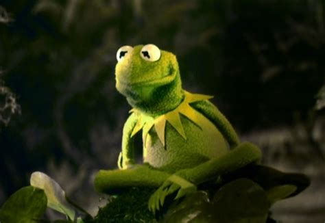 Kermit The Frog Fictional Characters Wiki Fandom Powered By Wikia