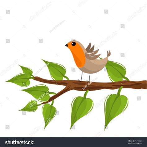 Funny Robin Bird On Tree Branch Stock Vector Royalty Free 75195001