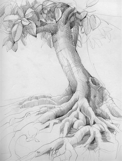 Rocky Mountain Society of Botanical Artists: A Drawing a ...
