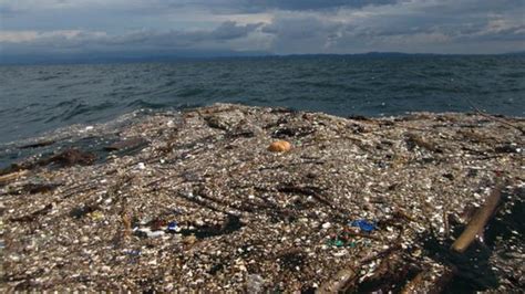 Pacific Trash Vortex Limmensa Isola Di Plastica Del Pacifico