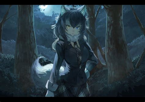 Anime Wolf Girl Wallpapers Top Free Anime Wolf Girl Backgrounds