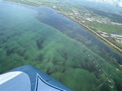 Aerial Update St Lucie River To Lake O 7 29 23 Jacqui Thurlow Lippisch