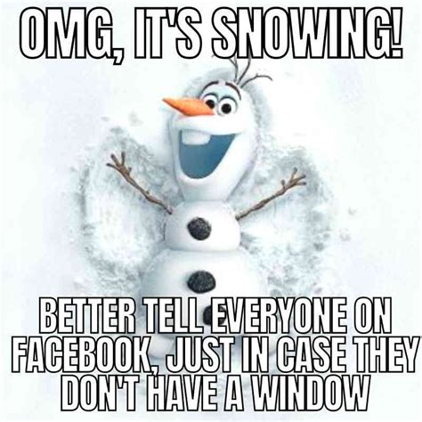25 Best Snow Memes For Laughing At Winter Weather Artofit