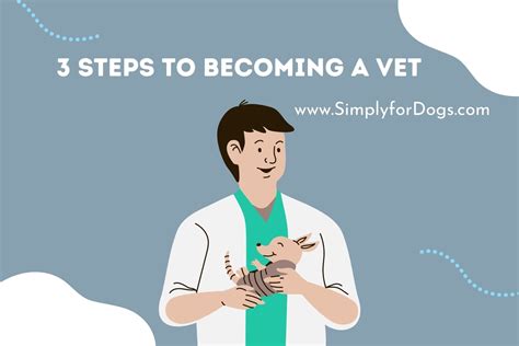 3 Steps To Becoming A Vet Detailed Information Simply For Dogs
