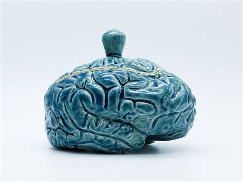 Large Blue Brain Box Psychology Nerd Art Neuroscience Neuron