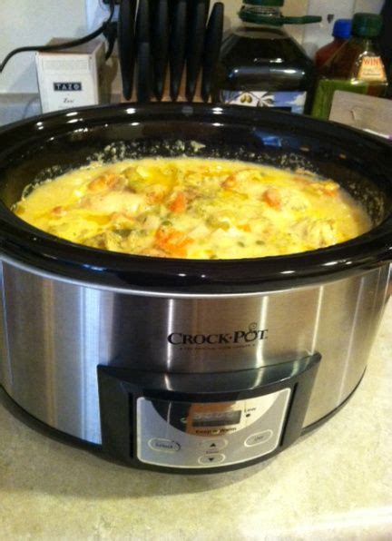 Can you put raw chicken in a slow cooker? 345 best Ninja 3 in 1 cooking system recipes images on ...
