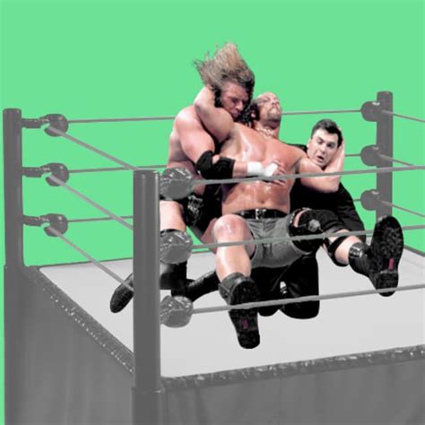 The 25 Greatest Finishing Moves In Pro Wrestling History Complex