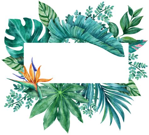 botanical tropical leaves frame watercolor 22613035 png