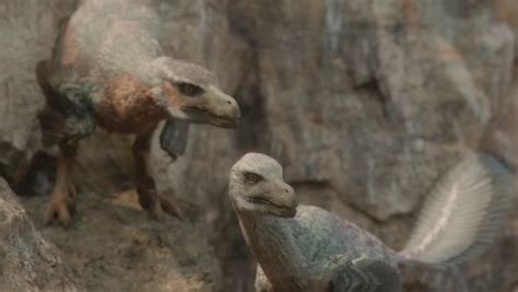 How Intelligent Was The Velociraptor Quora