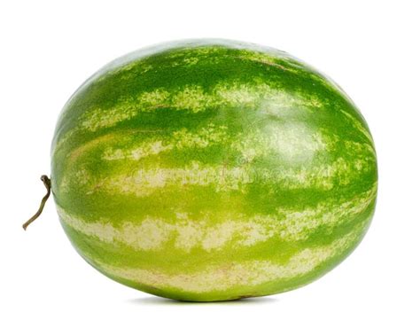 Green Striped Whole Round Watermelon Isolated On White Background Stock