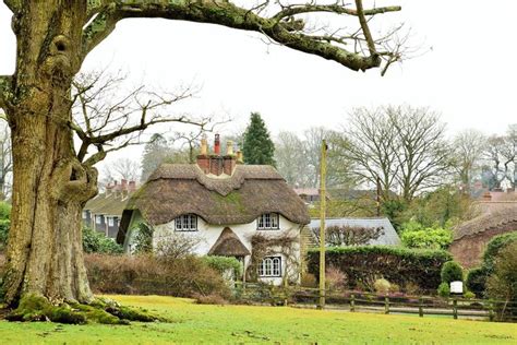 New Forest Cottage In Lyndhurst New Forest Cottages British