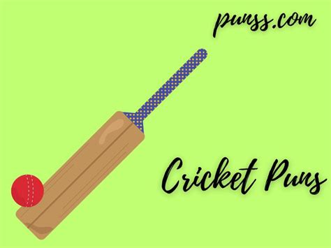 100 Funny Cricket Puns Jokes And One Liners