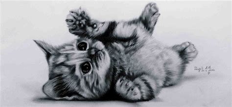 Draw A Realistic Part Fur And Details Leontine Drawn Easy Pencil In Color Drawn Kitten Drawings