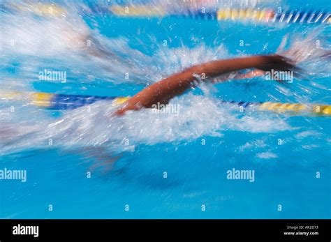 Swim Race In Olympic Pool Stock Photo Alamy