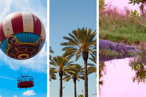 19 Unique Things to Do in Orlando (2021) - All-American Atlas