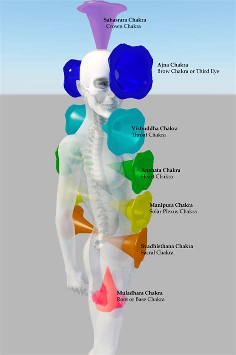 The Chakras Are The Way In Which Our Consciousness And Energy System
