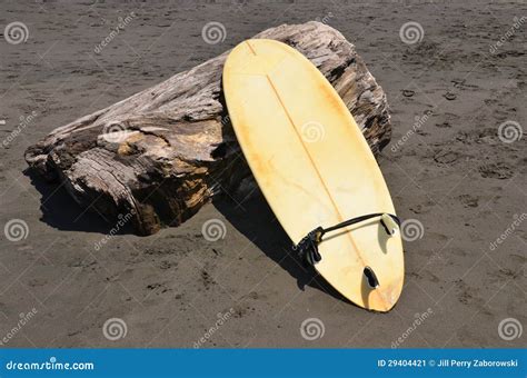 Surfboard On A Treestump On Volcanic Sand Beach Stock Image Image Of