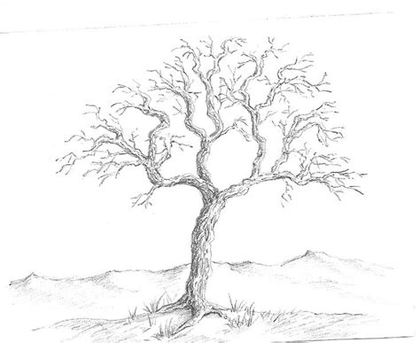 Art By Aunt Marcy Simple Pencil Drawing Of A Tree Ideen Fürs