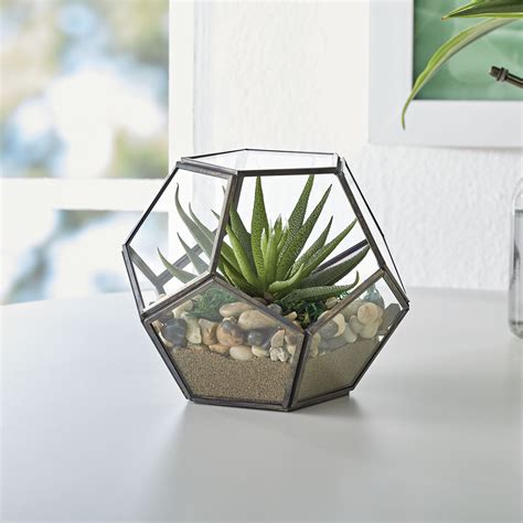 Better Homes And Gardens Geo Metal And Glass Terrarium 6 In L X 6 In W X 5 In H