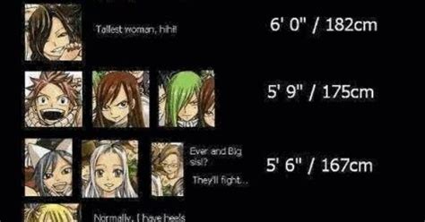 Cool I Never Knew The Height Of The Fairy Tail Members Fairy Tail