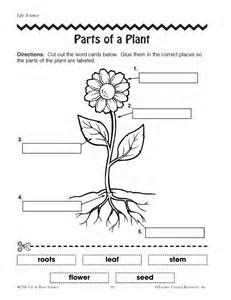 Life cycles of plants and animals. parts of a plant worksheet | Plants worksheets, Parts of a ...