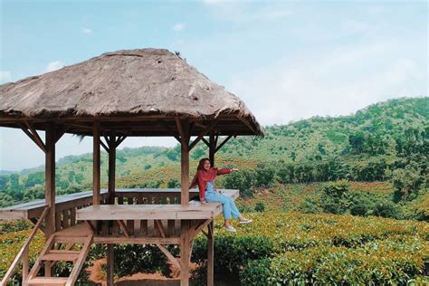 Harga tiket masuk kebun teh gunung gambir jember. Perkebunan Teh dengan Spot Instagenic di Jawa Timur, Bikin ...