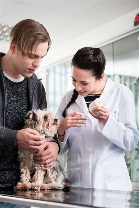 Female Veterinarian Talking With Sick Dog Stock Photo Image Of Care