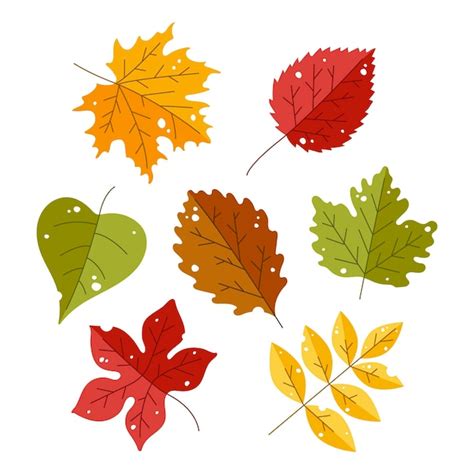 Free Vector Autumn Leaves Collection