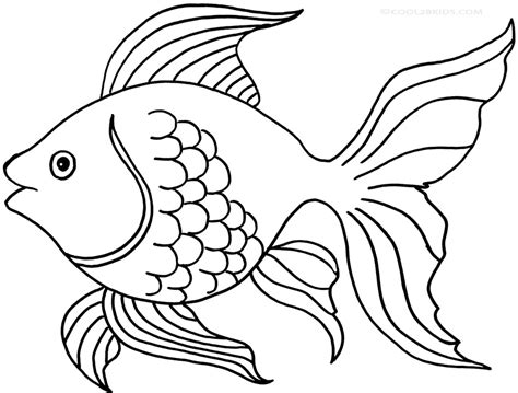 Outline Of Fish Drawing At Getdrawings Free Download