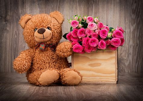 Hd Wallpaper Brown Bear Plush Toy Basket Roses Bouquet Pink