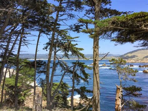 Point Lobos Hiking Top 6 Trails To Hike At The California Coastal Park