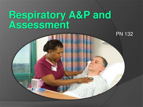 Ppt Assessment Of The Respiratory System Powerpoint Presentation