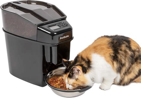 10 Best Automatic Wet And Dry Food Dispensers For Cats Reviewed