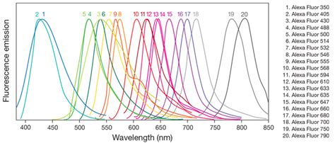 Alexa Fluor Dyes—across The Spectrum Thermo Fisher Scientific Jp